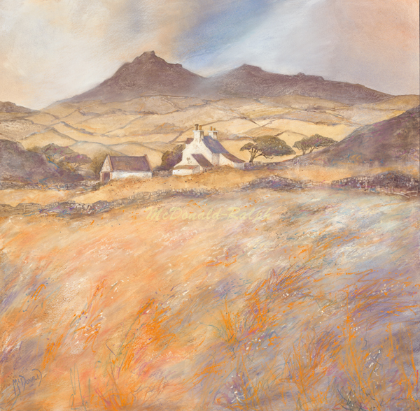 Gillian McDonald - Croft on Bennachie