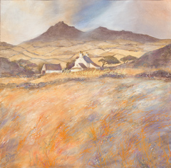 Gillian McDonald